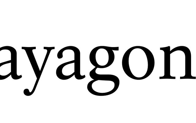 Rawlinson 2.0 specimen from Terminal Design