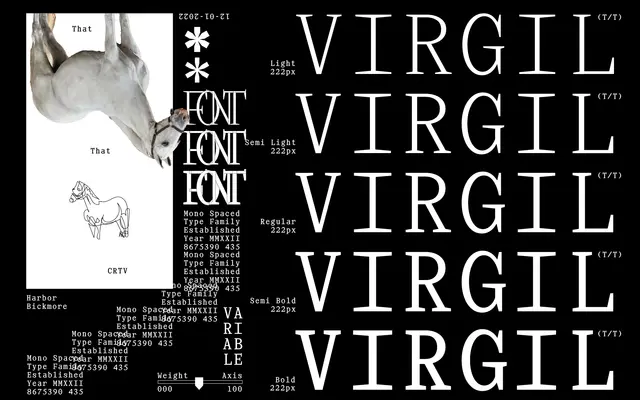 Virgil Mono Variable Collection specimen from That That Type
