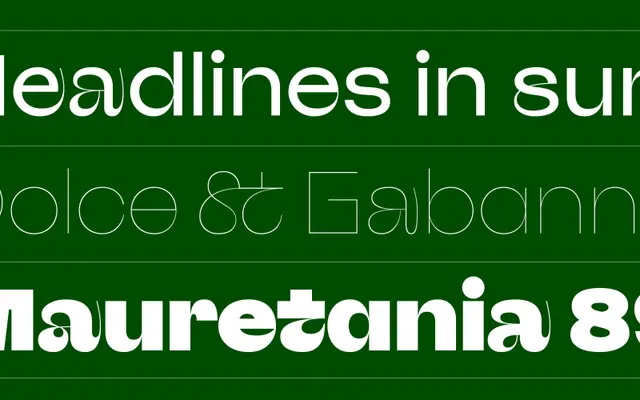Afronaut specimen from The Designers Foundry