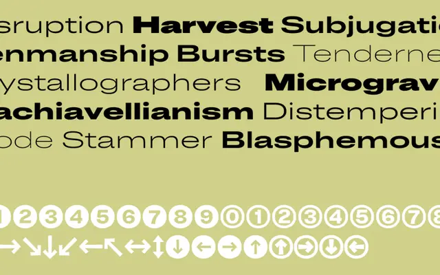 Cards specimen from The Designers Foundry
