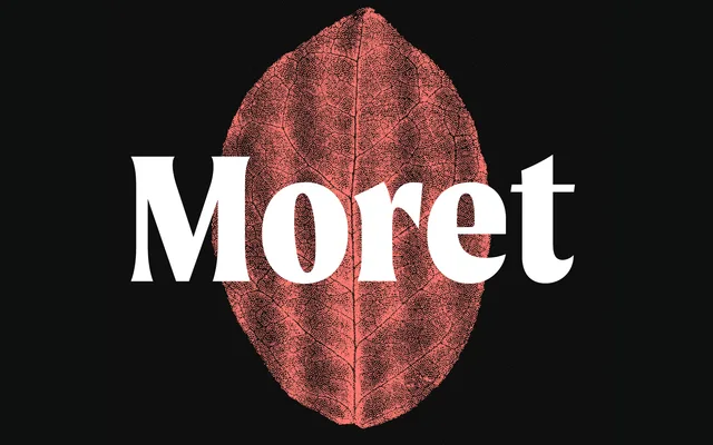 Moret specimen from The Northern Block
