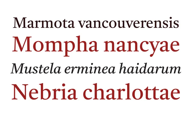 Castoro specimen from Tiro Typeworks