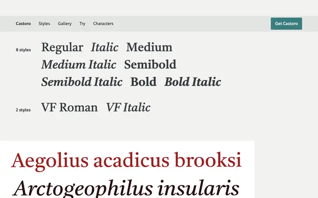 Castoro specimen from Tiro Typeworks