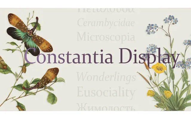 Constantia Display specimen from Tiro Typeworks