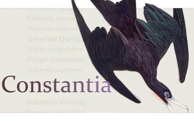 Constantia specimen from Tiro Typeworks