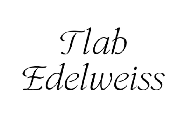 Tlab Edelweiss specimen from Tlab