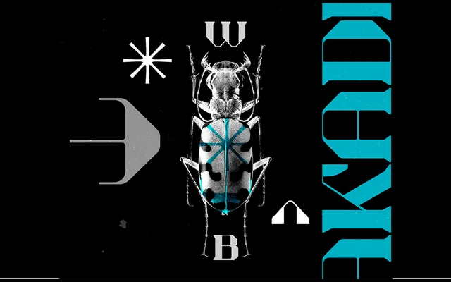 Akadis Display specimen from Tondi Type Studio
