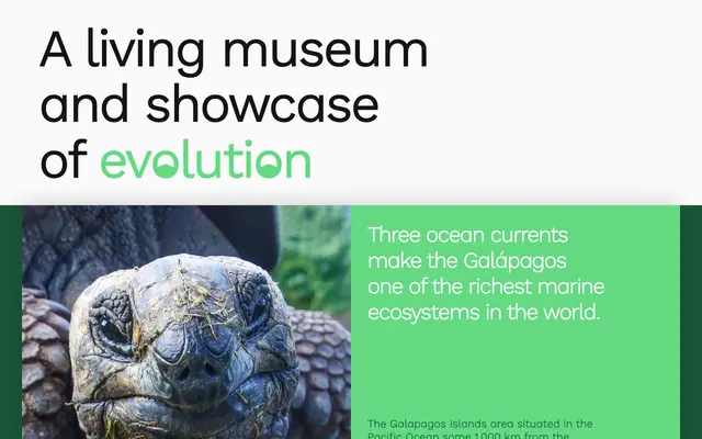 Work Sans Galapagos specimen from Too Much Type