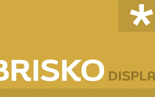 Brisko Display specimen from Tour de Force