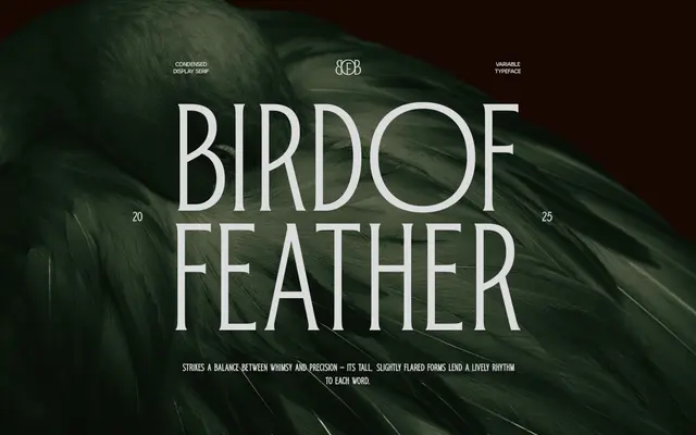 TRT Bird of Feather specimen from TrueType