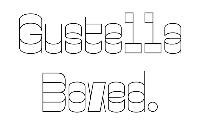 Gustella Boxed specimen from TYPE BY
