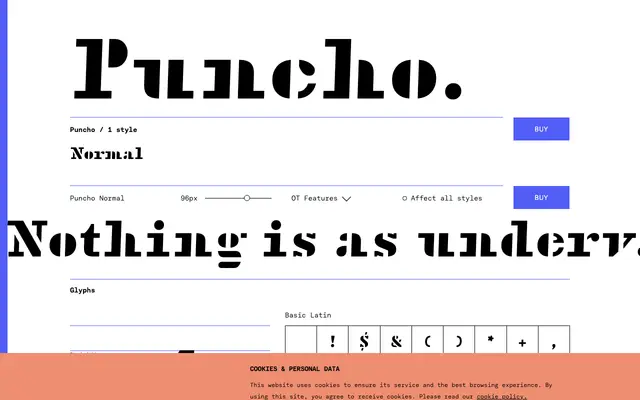 Puncho specimen from TYPE BY
