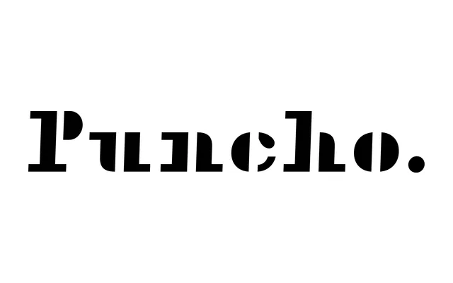 Puncho specimen from TYPE BY
