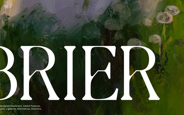 Brier specimen from Type Department