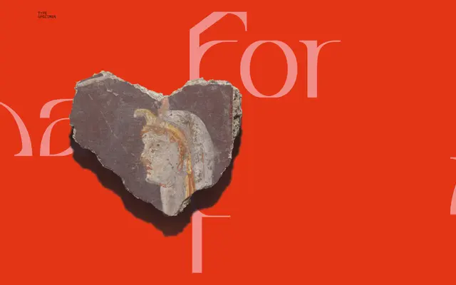 Constant Display specimen from Type Department