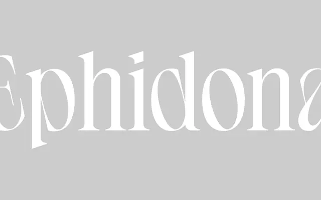 Ephidona specimen from Type Department