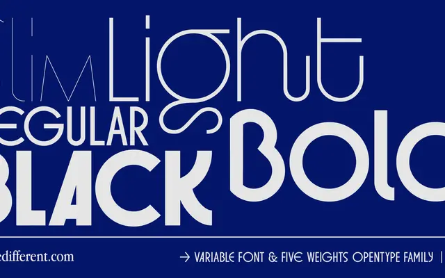 BD Orange specimen from Type Different