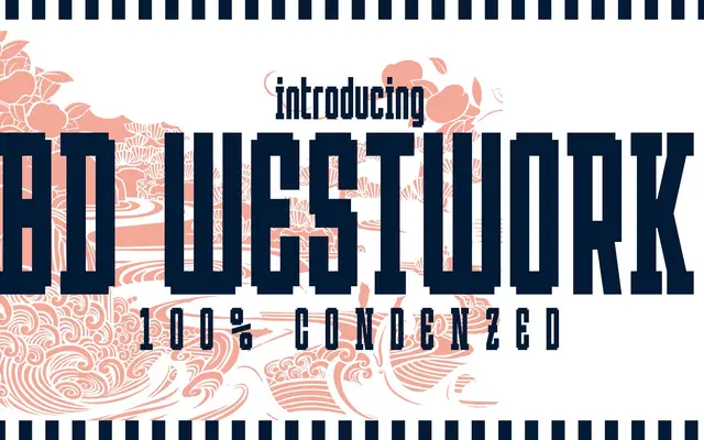 BD Westwork specimen from Type Different