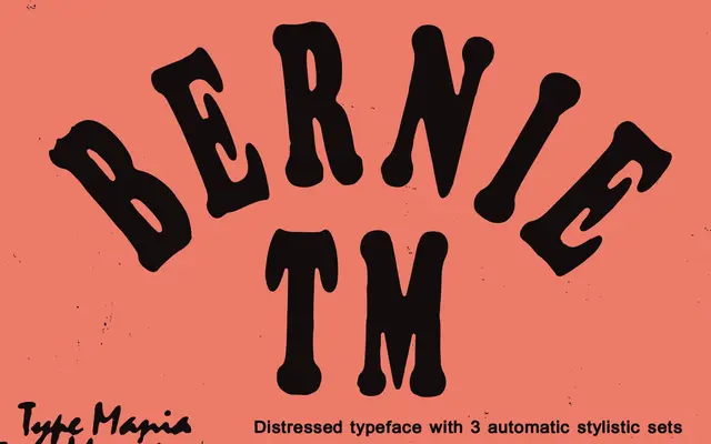 Bernie TM specimen from Type Mania
