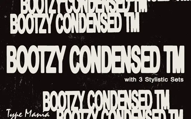 Bootzy Cond. TM specimen from Type Mania
