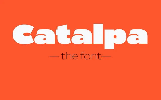 Catalpa specimen from TypeTogether