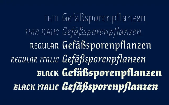 Eskapade specimen from TypeTogether