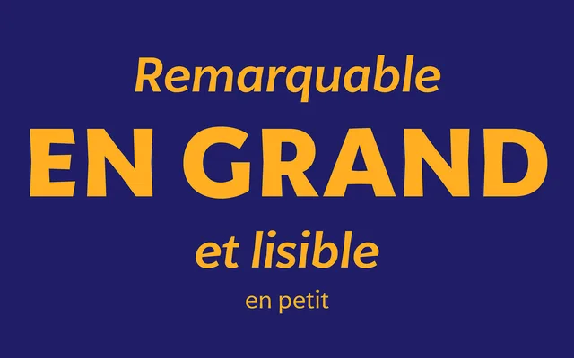 LFT Arnoldo specimen from TypeTogether