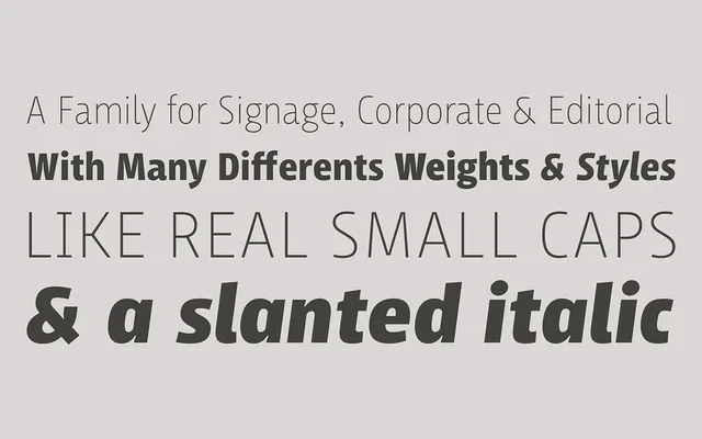 LFT Iro Sans specimen from TypeTogether
