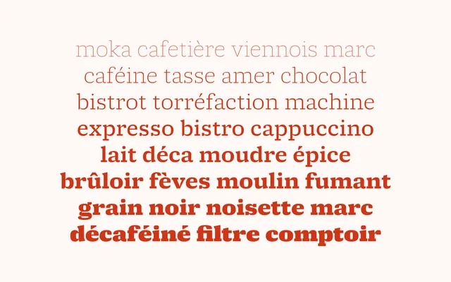 Molto specimen from TypeTogether