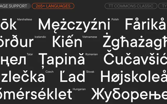 TT Commons™ Classic specimen from TypeType