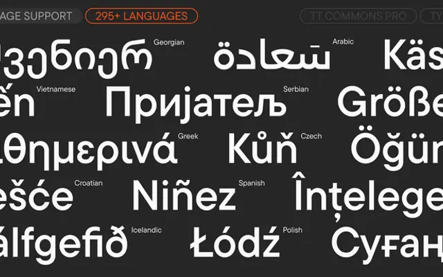 TT Commons™ Pro specimen from TypeType