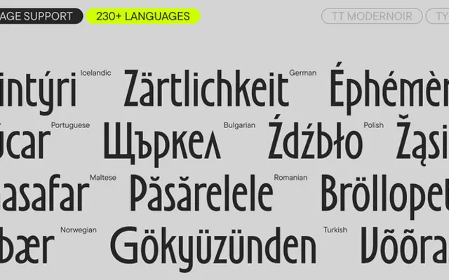 TT Modernoir specimen from TypeType