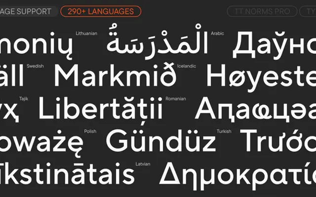 TT Norms® Pro specimen from TypeType