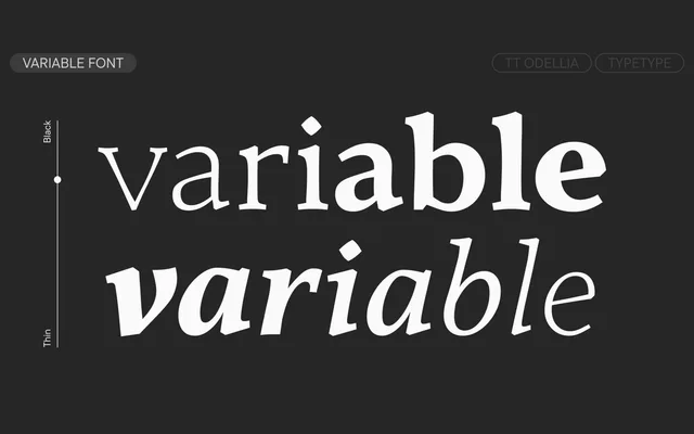 TT Odellia specimen from TypeType