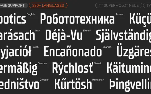 TT Supermolot Neue specimen from TypeType