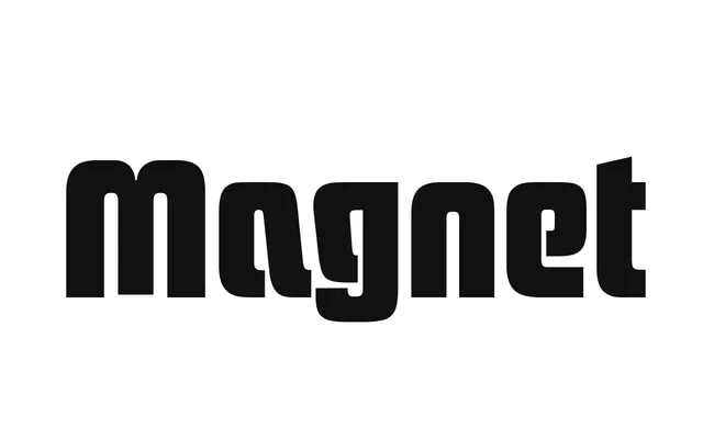 Magnet specimen from Typemanufactur