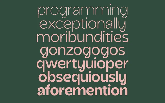 Acorn specimen from Typeverything
