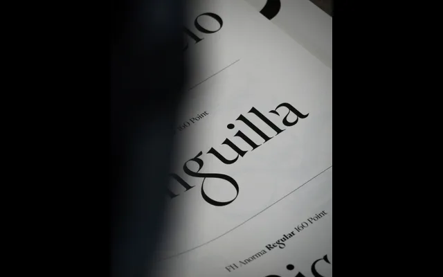 FH Anorma specimen from Typografische