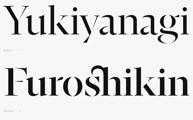 FH Enso specimen from Typografische