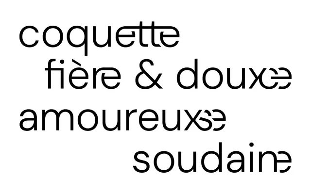 BBB DM Sans specimen from Typothèque Bye Bye Binary