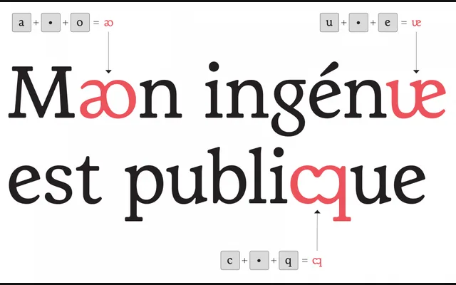 Bilzig specimen from Typothèque Bye Bye Binary
