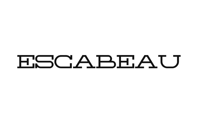 Escabeau specimen from Typothèque Bye Bye Binary