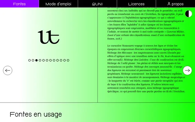 Homoneta specimen from Typothèque Bye Bye Binary