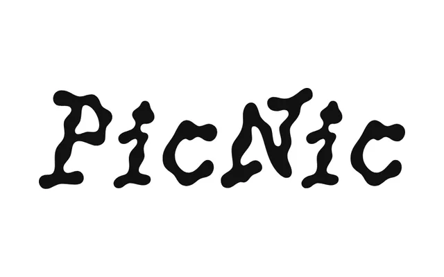PicNic specimen from Typothèque Bye Bye Binary