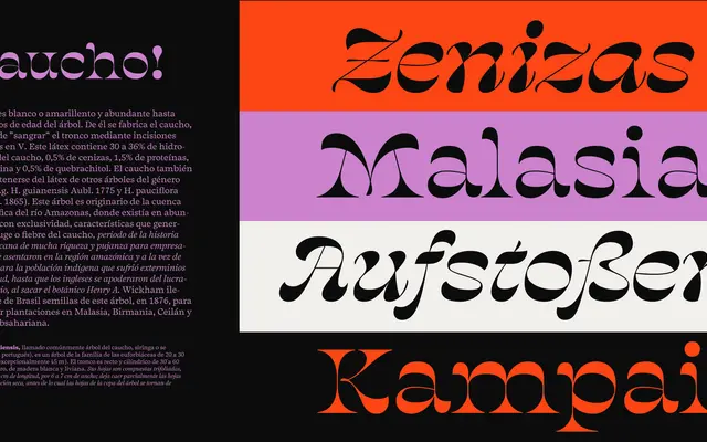 Salvaje Display specimen from Typozon