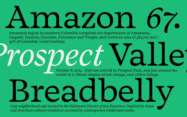 Salvaje Text specimen from Typozon
