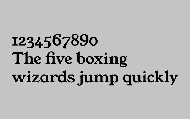 Young Serif specimen from Uncut
