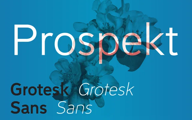 Prospekt specimen from Union Type Design