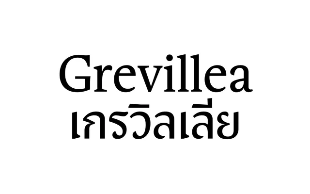 Grevillea specimen from Vee Ratchanon