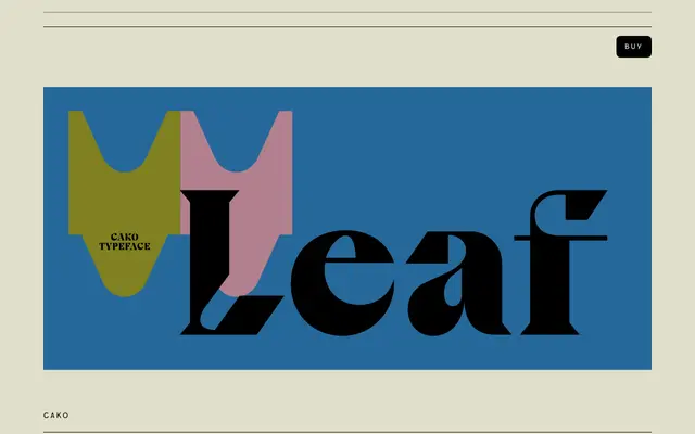 Cako specimen from VJ Type